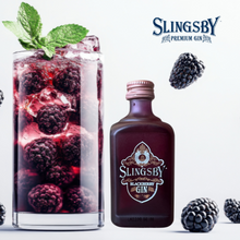 Load image into Gallery viewer, Slingsby Gin Mini's
